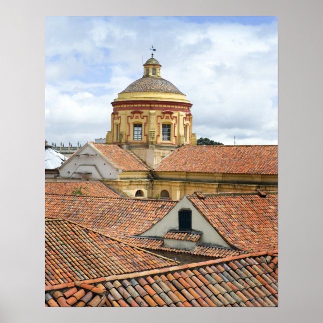 Roofops in Bogota Poster (Vorne)