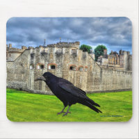 Rook und der Tower of London, England