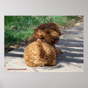 Rookie sieht nie zurück poster