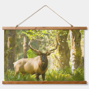 Roosevelt Elk Olympic-Nationalpark, Washington Wandteppich Mit Holzrahmen