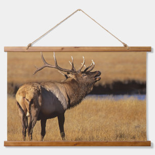 Roosevelt Eull Elk Wyoming Wandteppich Mit Holzrahmen