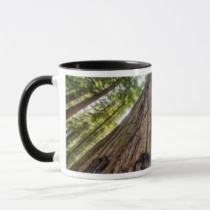 Roosevelt-Hain Tasse