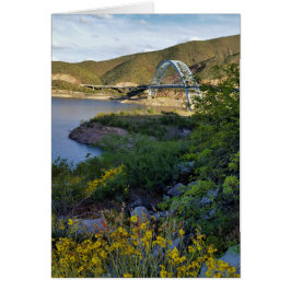 Roosevelt Lake Bridge Arizona Gelbe Wildblumen