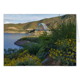 Roosevelt Lake Bridge Arizona Gelbe Wildblumen
