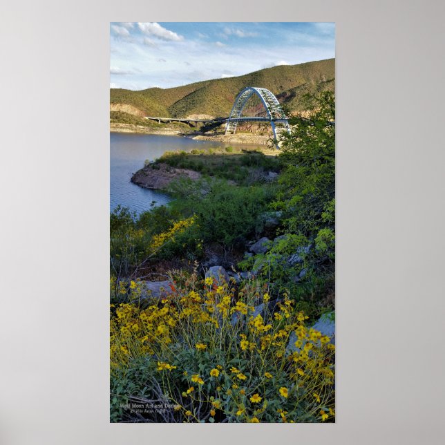 Roosevelt Lake Bridge Arizona Gelbe Wildblumen Poster (Vorne)