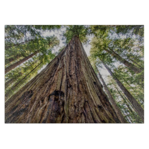 Roosevelt Schneidebrett