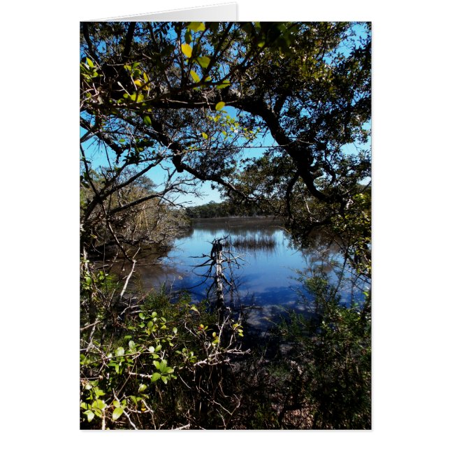 Roosevelt Trail im Aquarium (Vorne)