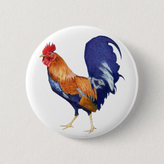 Roost-Taste Button