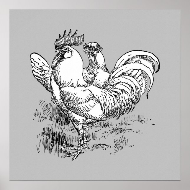 Rooster and Hen - Archivdruck Poster (Vorne)