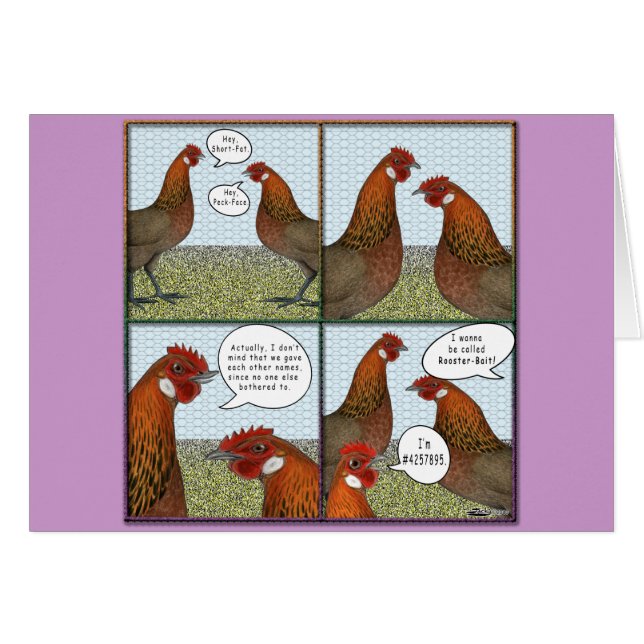 Rooster Bait (Vorderseite (Horizontal))