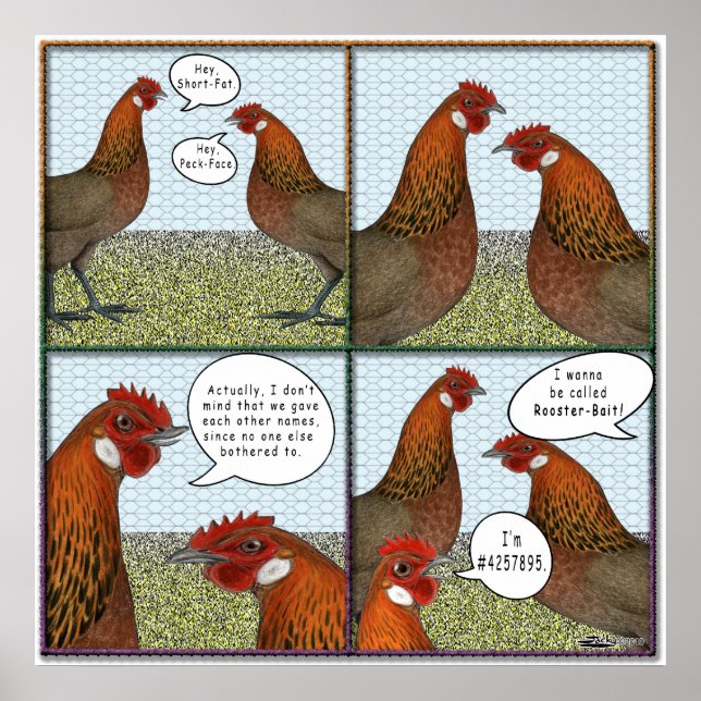 Rooster Bait Poster (Vorne)