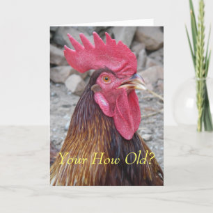 Rooster Birthday Card Karte