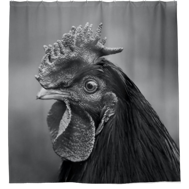Rooster Black and White Duschvorhang (Vorderseite)