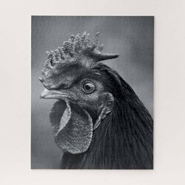 Rooster Black and White Puzzle (Vertikal)