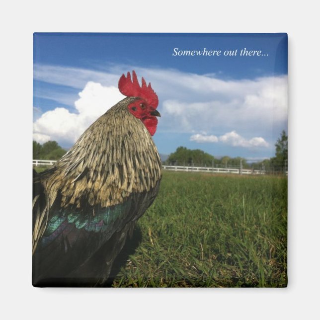 Rooster-Bob Irgendwo da draußen Magnet (Vorne)