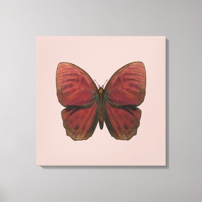 Rooster Butterfly Leinwanddruck (Vorderseite)