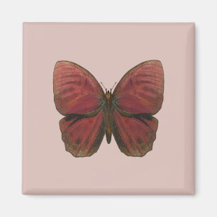 Rooster Butterfly Magnet