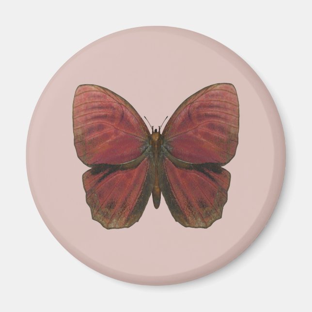 Rooster Butterfly Magnet (Vorne)