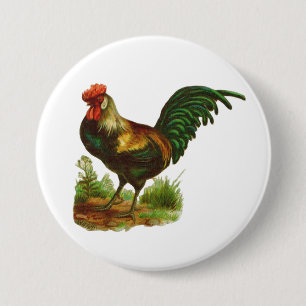 Rooster Button