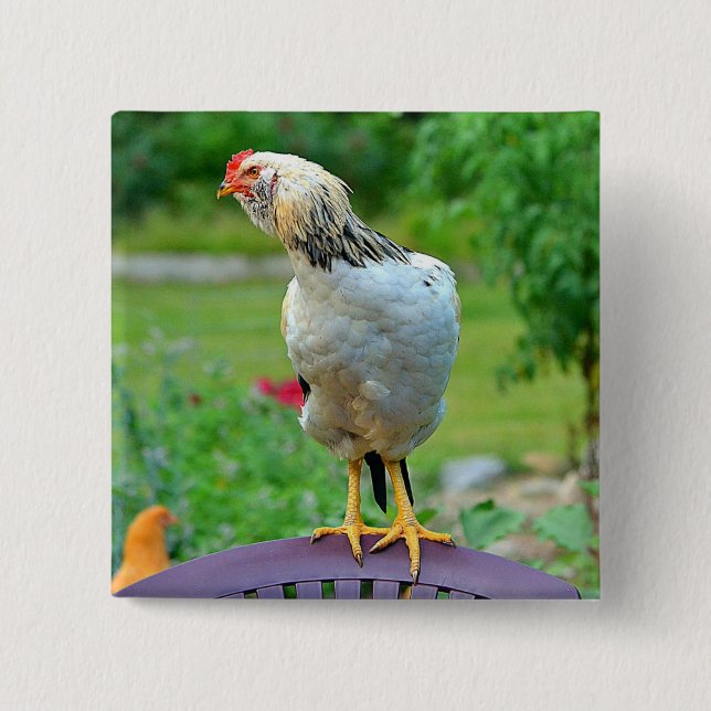 Rooster Button (Vorderseite)