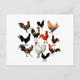 Rooster Collage Vintage Rustikale Hühner Postkarte
