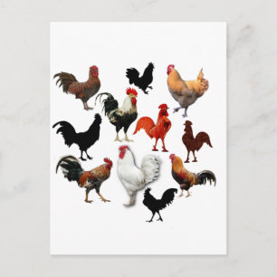 Rooster Collage Vintage Rustikale Hühner Postkarte