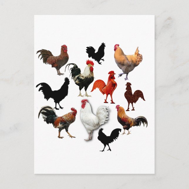 Rooster Collage Vintage Rustikale Hühner Postkarte (Vorderseite)