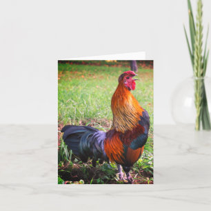 Rooster Crowing 2 Farm Animal Note Card Karte