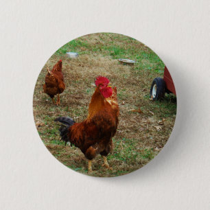 Rooster Crowing Button