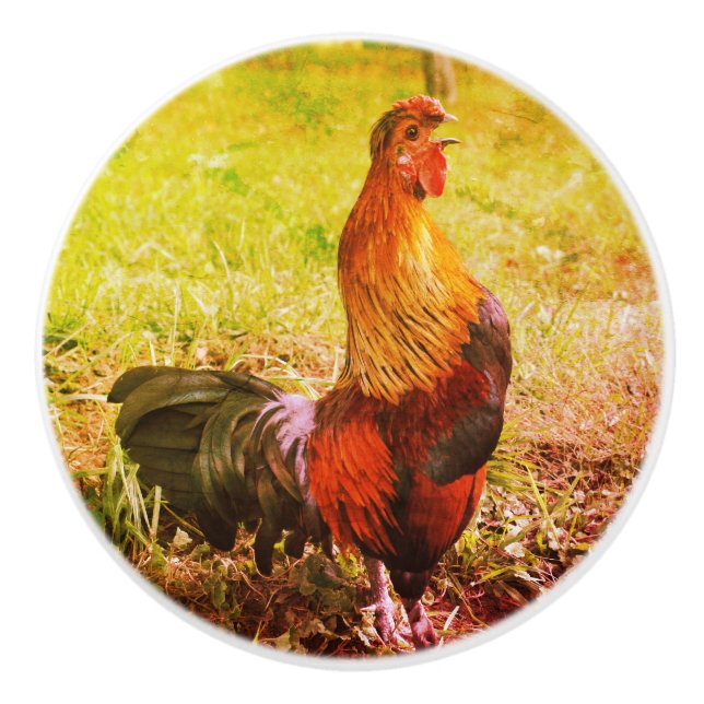 Rooster Crowing Farm Tier Abstrakt Keramikknauf (Vorderseite)