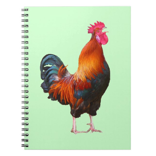 Rooster Crowing-Notebook Notizblock (Vorderseite)