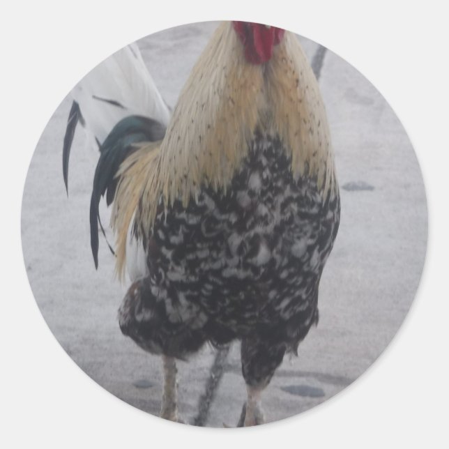 Rooster Doodle Doo Runder Aufkleber (Vorderseite)