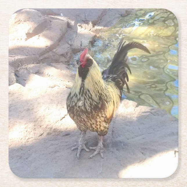 Rooster Drink Coasters Rechteckiger Pappuntersetzer (Vorderseite)