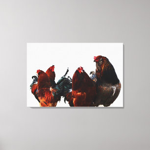 Rooster Gang Chicken Leinwand Fotografie