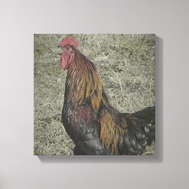 Rooster Grunge Leinwanddruck (Vorderseite)