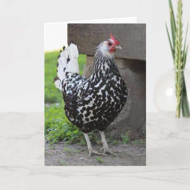 Rooster-Grußkarte Karte (Vorderseite)