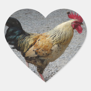 Rooster Heftsticker Herz-Aufkleber