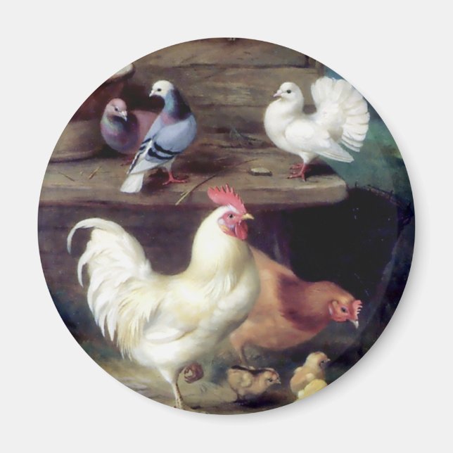 Rooster Hen Chicken Doves Magnet (Vorne)