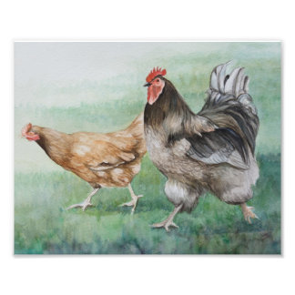 Rooster & Hen Foto Print