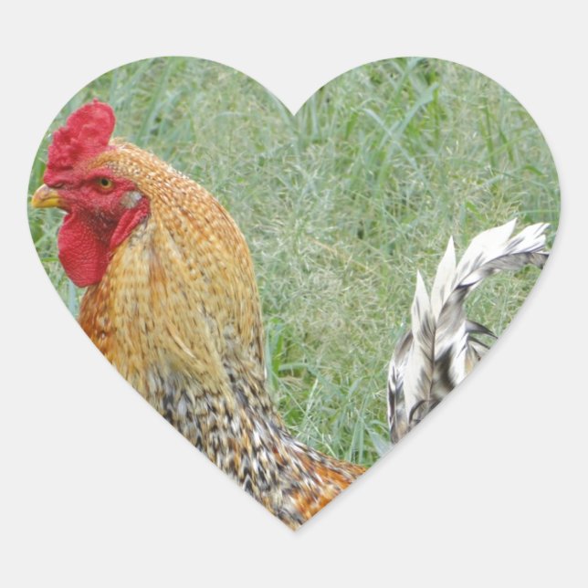 Rooster Herz-Aufkleber (Vorderseite)