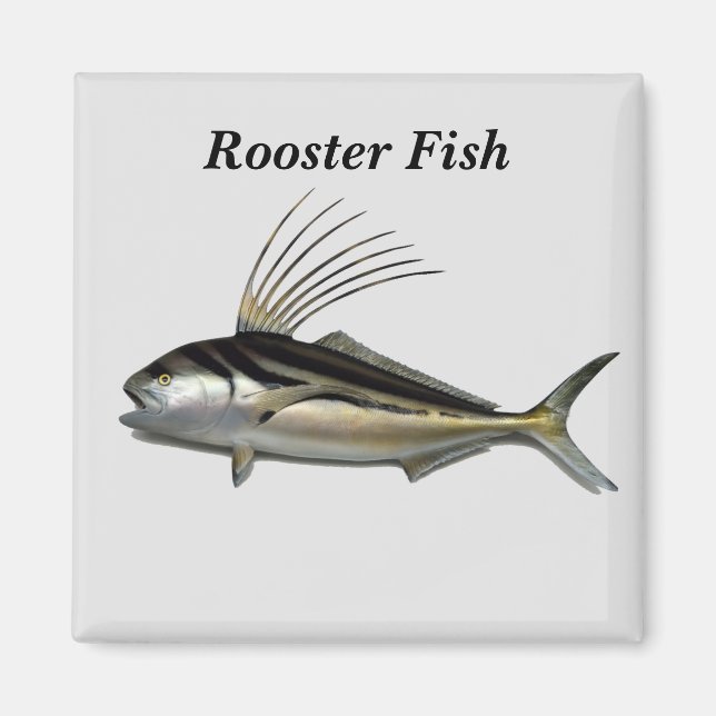 Rooster-Hintergrund Magnet (Vorne)
