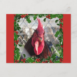Rooster Holly Christmas Postcard Feiertagspostkarte