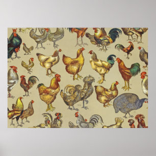 Rooster-Hühnerfarm Landtier Poster