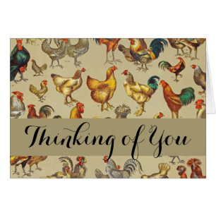 Rooster-Hühnerfarm Tiergeflügel Land