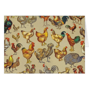 Rooster-Hühnerfarm Tiergeflügel Land