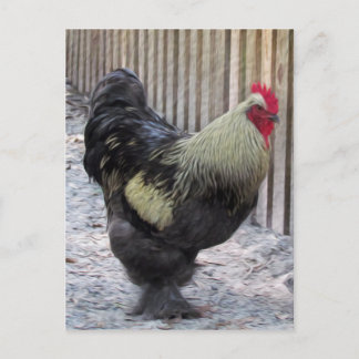 Rooster-Hühnermalerei Postkarte