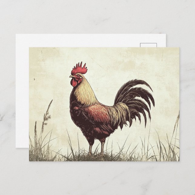 Rooster Illustration Vintag Tone Postkarte (Vorne/Hinten)