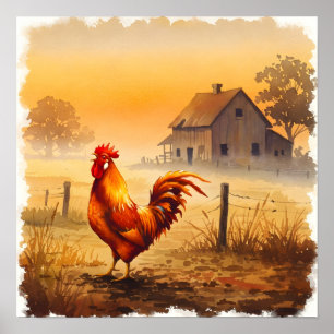 Rooster im Morgenhüttenhaus Poster