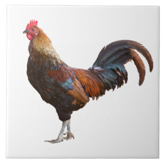 Rooster Kitchen Decke hinzufügen Farbtext Hintergr Fliese