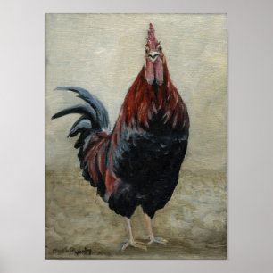 Rooster Look Bird Art Print Poster